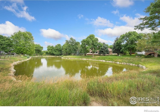 1012 Hobson Ct, Fort Collins, CO 80526 - photo 29