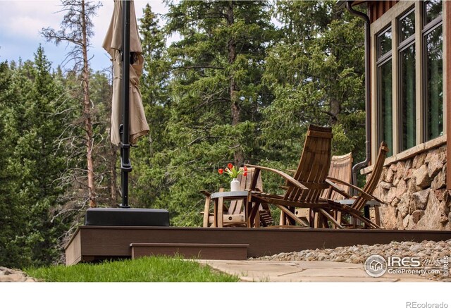 3363 Riverside Dr, Lyons, CO 80540 - photo 34