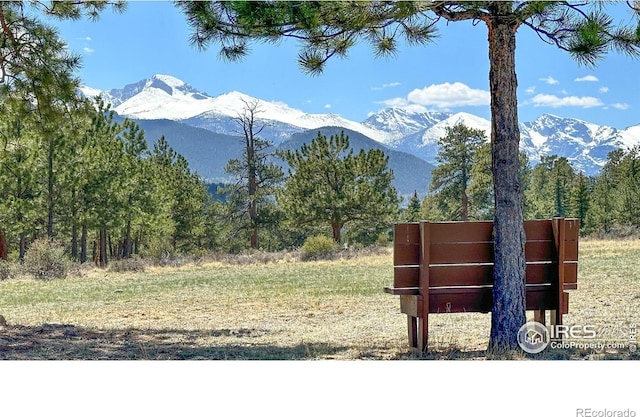 871 E Ln, Estes Park, CO 80517 - photo 2