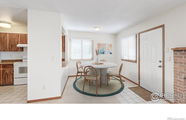 312 Butch Cassidy Dr, Fort Collins, CO 80524 - photo 11