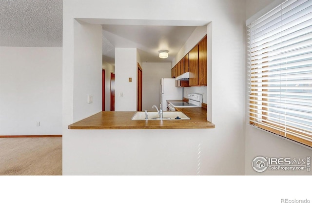312 Butch Cassidy Dr, Fort Collins, CO 80524 - photo 13