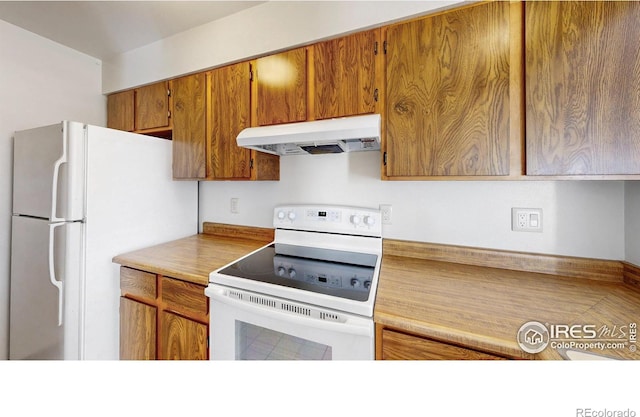 312 Butch Cassidy Dr, Fort Collins, CO 80524 - photo 14
