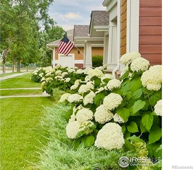 2308 Owens Ave Unit 203, Fort Collins, CO 80528 - photo 5
