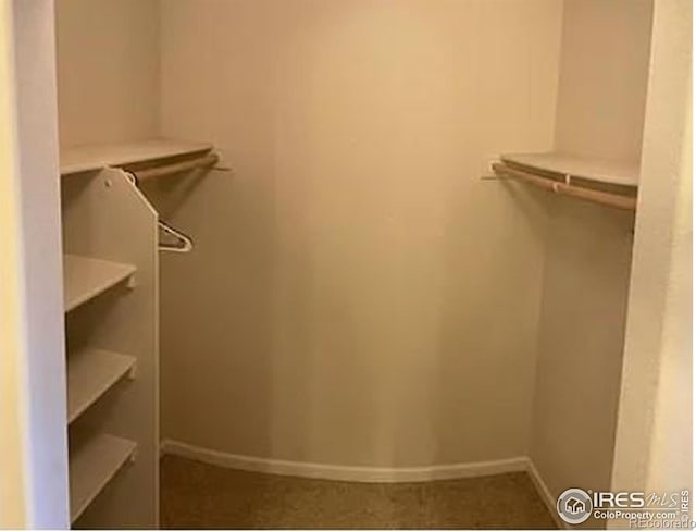 2308 Owens Ave Unit 203, Fort Collins, CO 80528 - photo 13