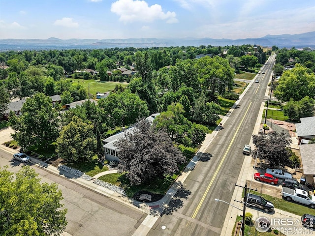 9100 Grandview Ave, Arvada, CO 80002 - photo 37