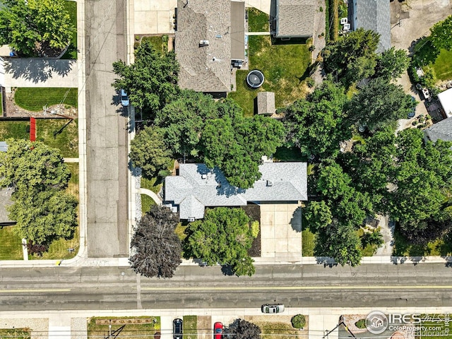 9100 Grandview Ave, Arvada, CO 80002 - photo 38