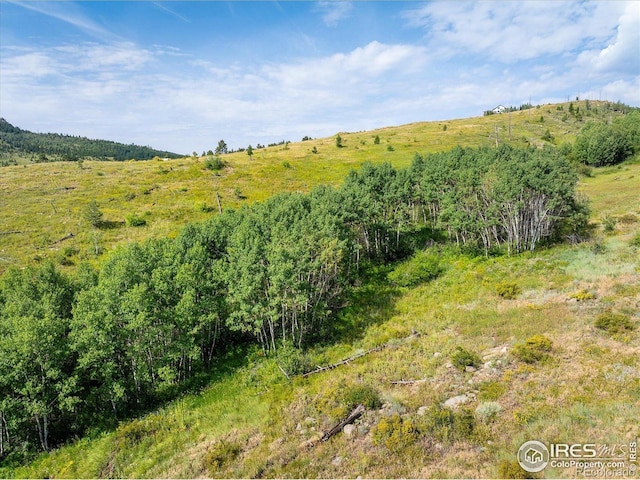 730 Lost Angel Rd, Boulder, CO 80302 - photo 28