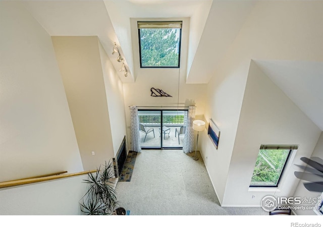 3260 47th St Unit 201A, Boulder, CO 80301 - photo 12