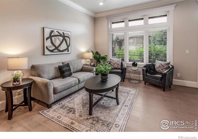 706 Centre Ave Unit 101, Fort Collins, CO 80526 - photo 8