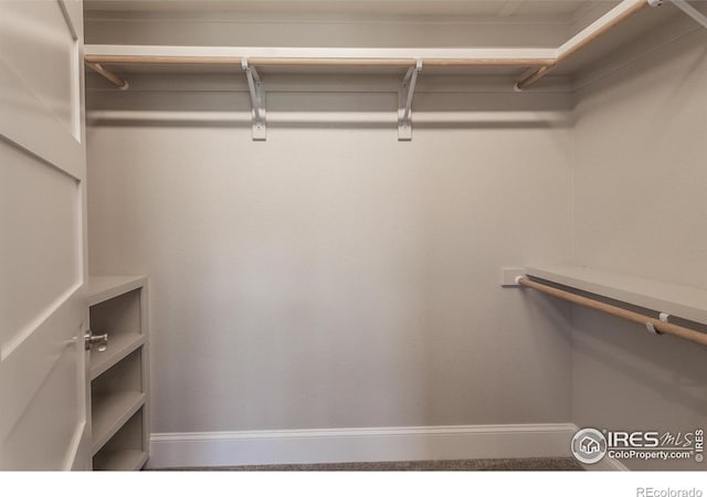 706 Centre Ave Unit 101, Fort Collins, CO 80526 - photo 20