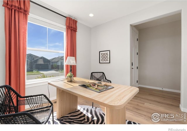 2124 Glean Ct, Windsor, CO 80550 - photo 5