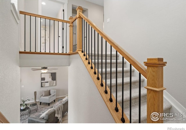 2124 Glean Ct, Windsor, CO 80550 - photo 23