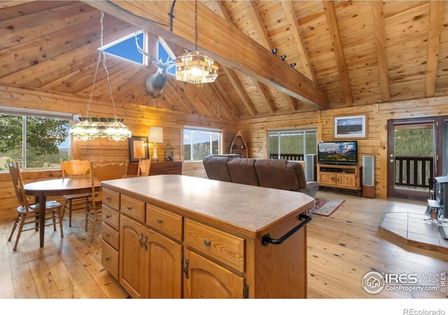 3706 Ottawa Way, Red Feather Lakes, CO 80545 - photo 9