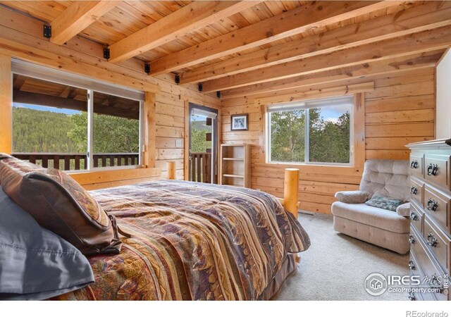 3706 Ottawa Way, Red Feather Lakes, CO 80545 - photo 16