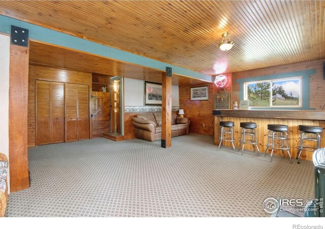 3706 Ottawa Way, Red Feather Lakes, CO 80545 - photo 20