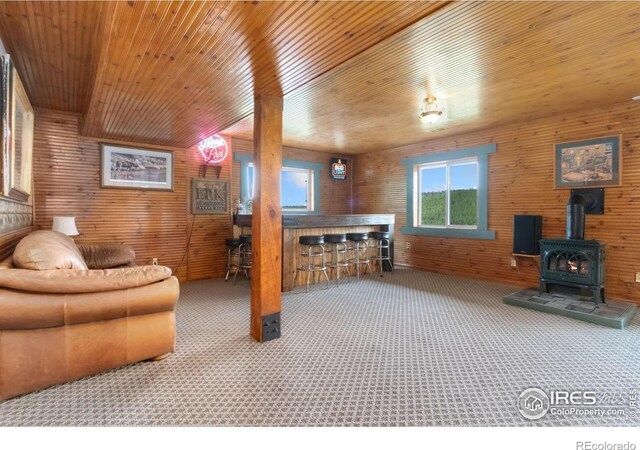 3706 Ottawa Way, Red Feather Lakes, CO 80545 - photo 21