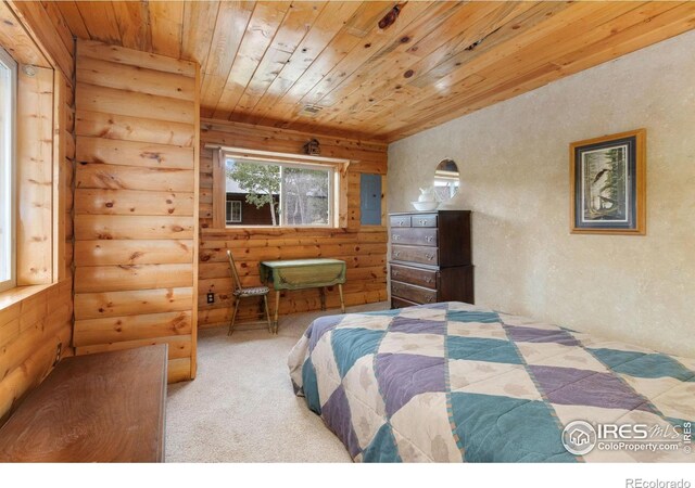 3706 Ottawa Way, Red Feather Lakes, CO 80545 - photo 25