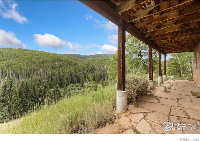 3706 Ottawa Way, Red Feather Lakes, CO 80545 - photo 26