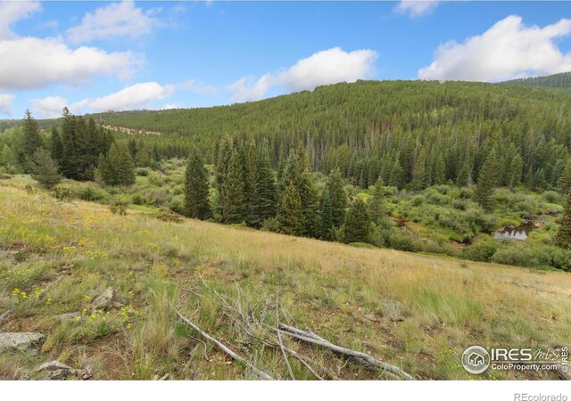 3706 Ottawa Way, Red Feather Lakes, CO 80545 - photo 31