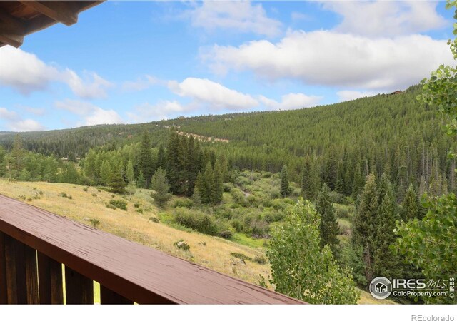 3706 Ottawa Way, Red Feather Lakes, CO 80545 - photo 28