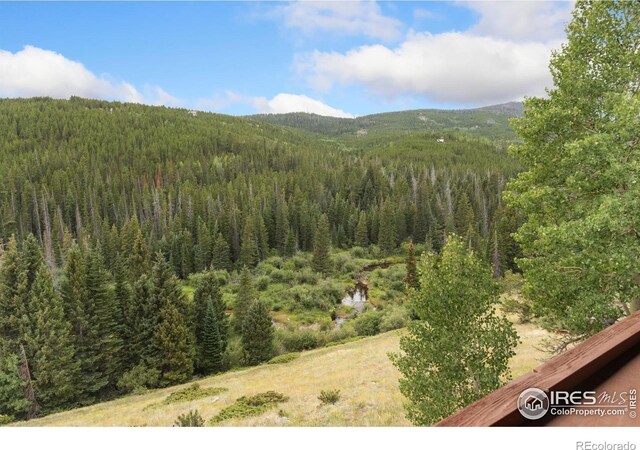 3706 Ottawa Way, Red Feather Lakes, CO 80545 - photo 29
