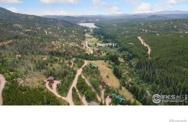 3706 Ottawa Way, Red Feather Lakes, CO 80545 - photo 33