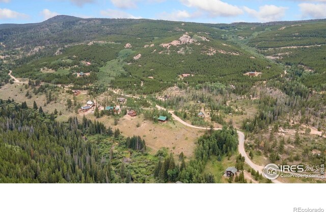 3706 Ottawa Way, Red Feather Lakes, CO 80545 - photo 37