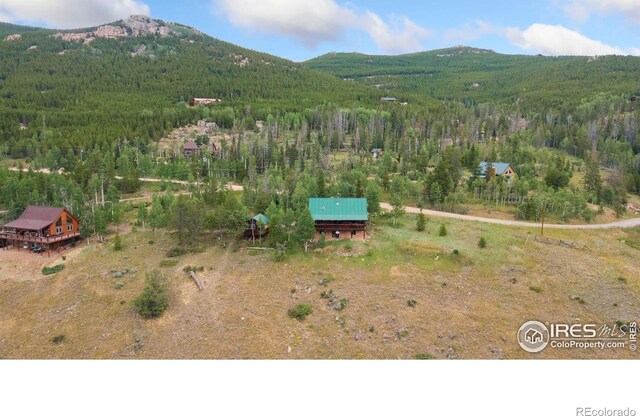 3706 Ottawa Way, Red Feather Lakes, CO 80545 - photo 38