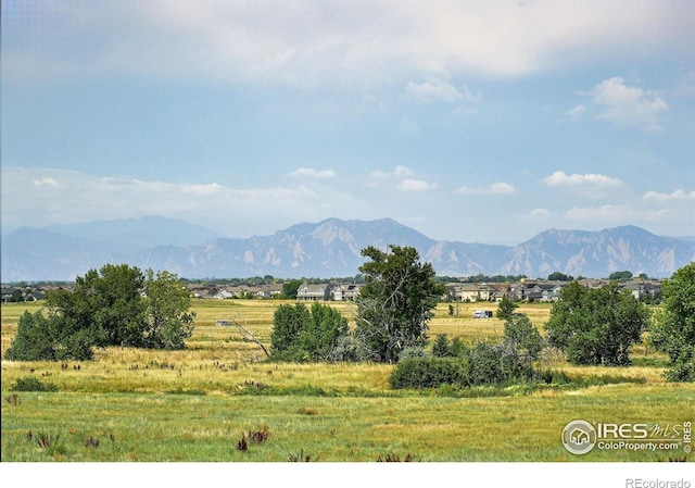 1424 Clayton Way, Erie, CO 80516 - photo 7
