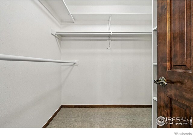 6522 W 81st Ave, Arvada, CO 80003 - photo 20