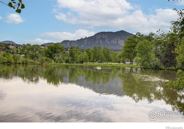 1110 Hartford Dr, Boulder, CO 80305 - photo 37