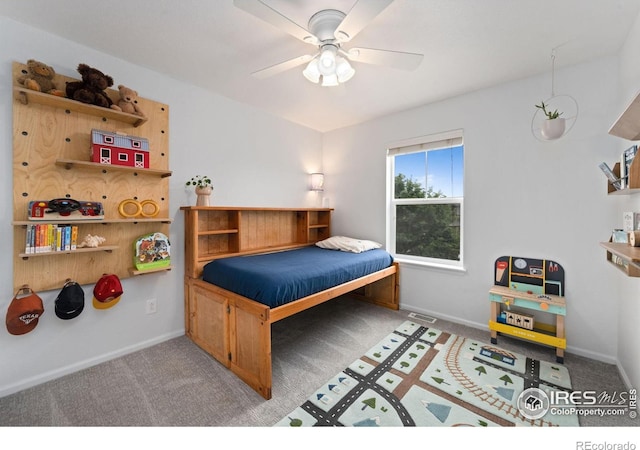 3914 Oak Shadow Way, Fort Collins, CO 80528 - photo 29