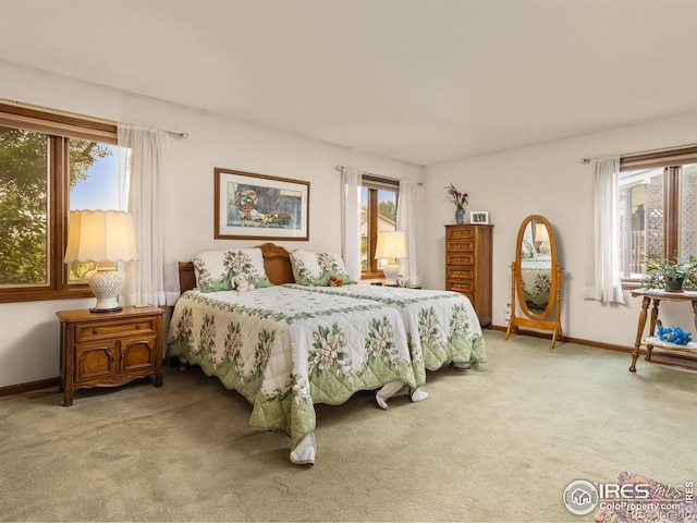 1013 Berkeley Ct, Longmont, CO 80503 - photo 13