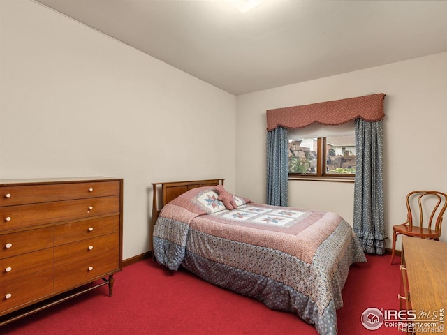 1013 Berkeley Ct, Longmont, CO 80503 - photo 18