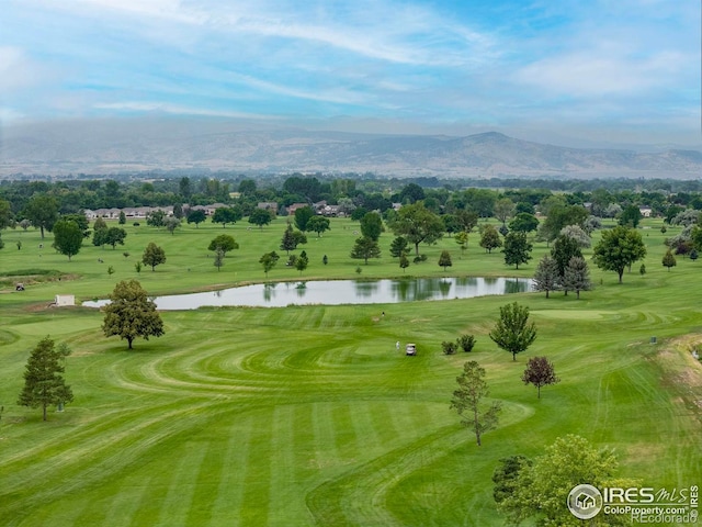 1013 Berkeley Ct, Longmont, CO 80503 - photo 22