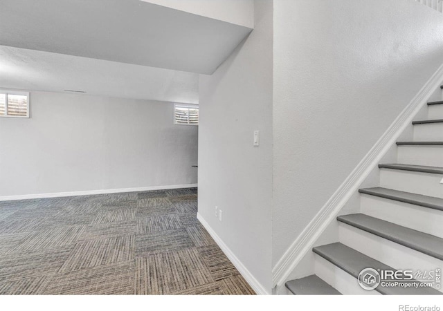 521 Alpine St, Longmont, CO 80504 - photo 22