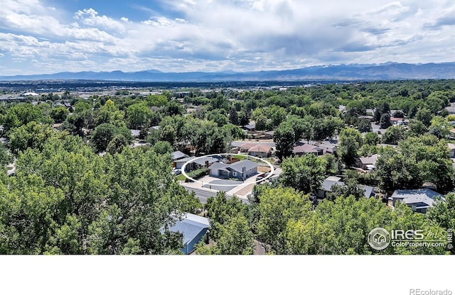 521 Alpine St, Longmont, CO 80504 - photo 34