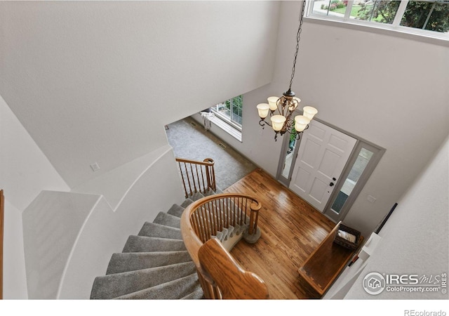2237 Smallwood Dr, Fort Collins, CO 80528 - photo 5