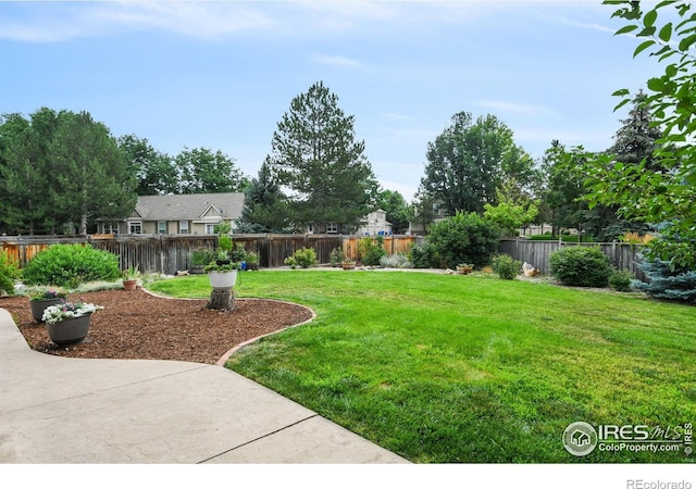 2237 Smallwood Dr, Fort Collins, CO 80528 - photo 34