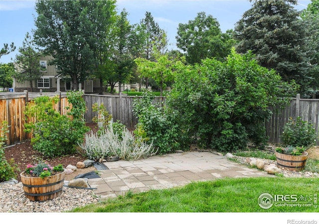 2237 Smallwood Dr, Fort Collins, CO 80528 - photo 37