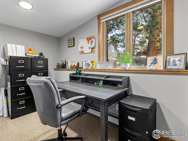 817 Big Horn Dr, Estes Park, CO 80517 - photo 29