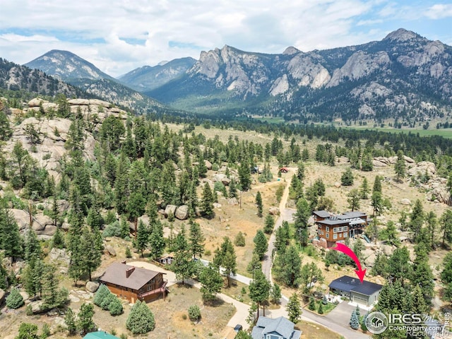 817 Big Horn Dr, Estes Park, CO 80517 - photo 37