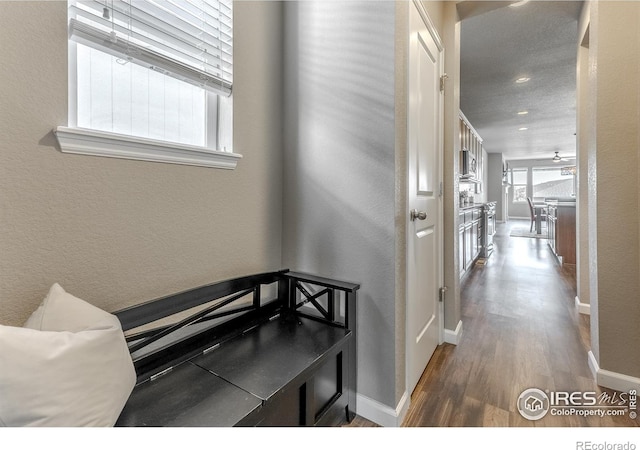 18875 W 93rd Ave, Arvada, CO 80007 - photo 20
