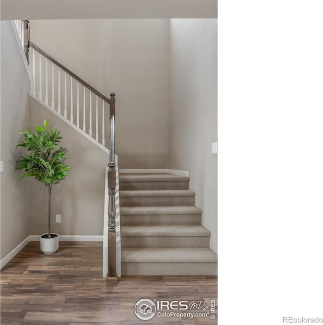 18875 W 93rd Ave, Arvada, CO 80007 - photo 21