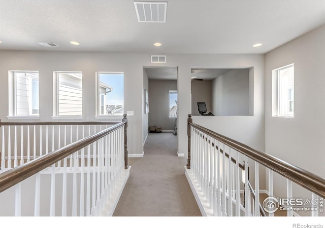 18875 W 93rd Ave, Arvada, CO 80007 - photo 22