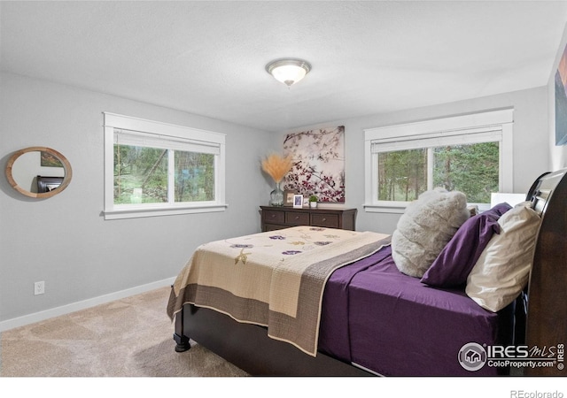 11718 Sidney Rd E, Golden, CO 80403 - photo 17