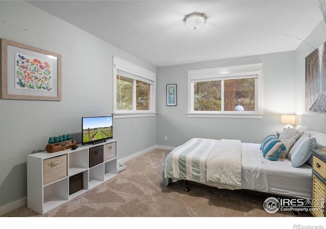 11718 Sidney Rd E, Golden, CO 80403 - photo 19