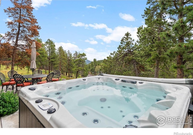 11718 Sidney Rd E, Golden, CO 80403 - photo 23