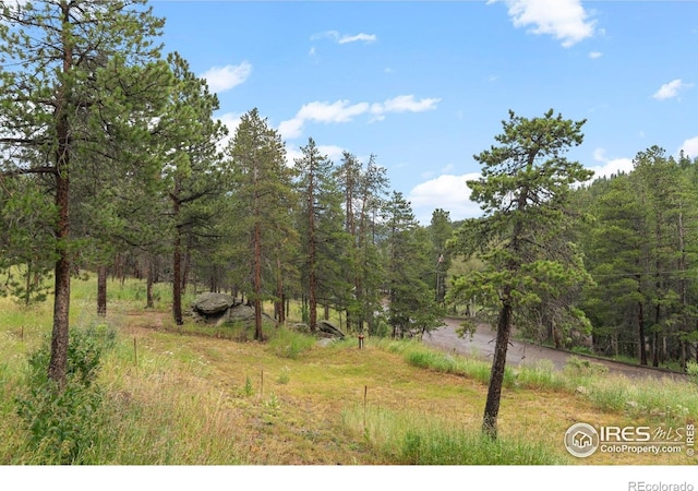 11718 Sidney Rd E, Golden, CO 80403 - photo 25