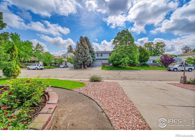 2113 Spencer St, Longmont, CO 80501 - photo 5
